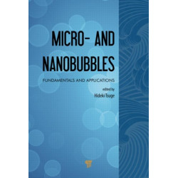 Micro- and Nanobubbles: Fundamentals and Applications