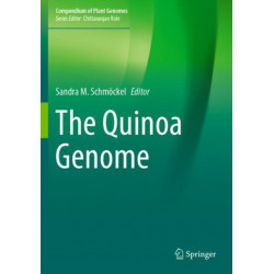 The Quinoa Genome