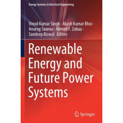 Renewable Energy and Future Power Systems