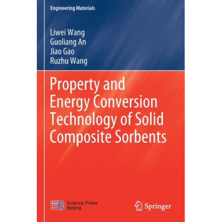 Property and Energy Conversion Technology of Solid Composite Sorbents