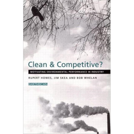 Clean and Competitive: Motivating Environmental Performance in Industry