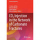 CO2 Injection in the Network of Carbonate Fractures