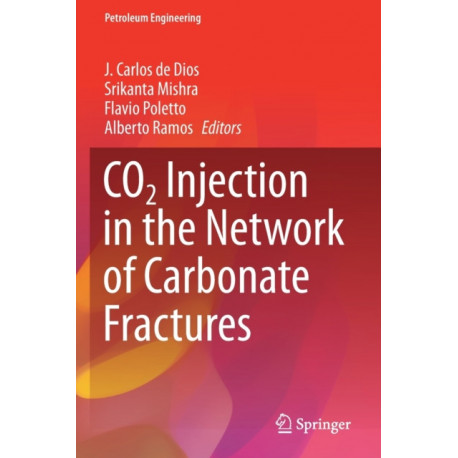 CO2 Injection in the Network of Carbonate Fractures