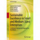 Sustainable Excellence in Small and Medium Sized Enterprises: Continuous Improvement Approaches that Matter