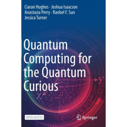 Quantum Computing for the Quantum Curious