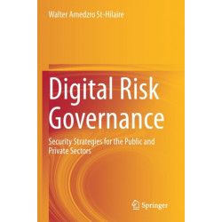 Digital Risk Governance: Security Strategies for the Public and Private Sectors