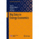 Big Data in Energy Economics