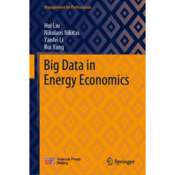 Big Data in Energy Economics