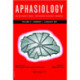 Access and Inclusion Issues with Aphasia: A Special Issue of Aphasiology