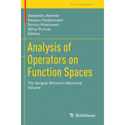 Analysis of Operators on Function Spaces: The Serguei Shimorin Memorial Volume