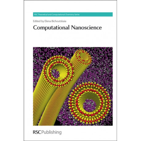 Computational Nanoscience