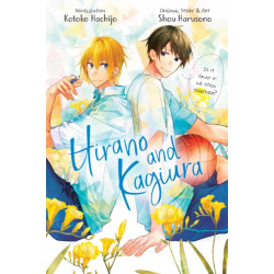 Hirano and Kagiura (novel)