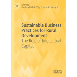 Sustainable Business Practices for Rural Development: The Role of Intellectual Capital