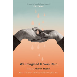 We Imagined It Was Rain: Stories