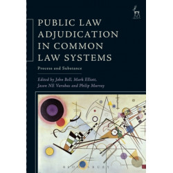 Public Law Adjudication in Common Law Systems: Process and Substance