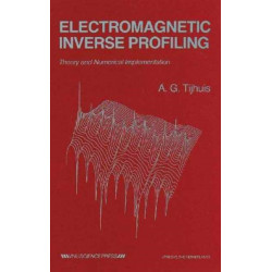 Electromagnetic Inverse Profiling: Theory and Numerical Implementation
