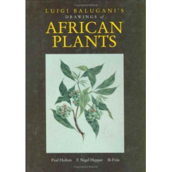 Luigi Balugani's Drawings of African Plants