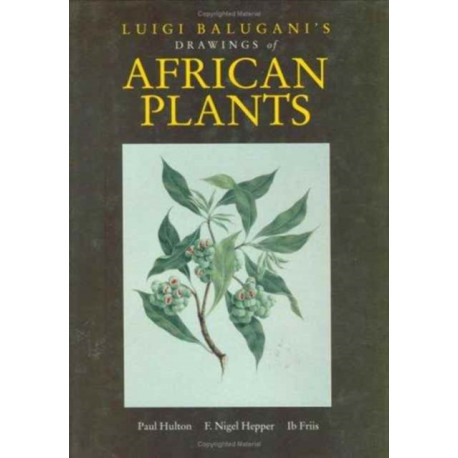 Luigi Balugani's Drawings of African Plants