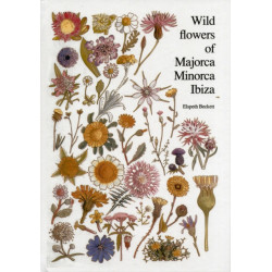 Wild flowers of Majorca Minorca and Ibiza: With keys to the flora of the Balearic Islands