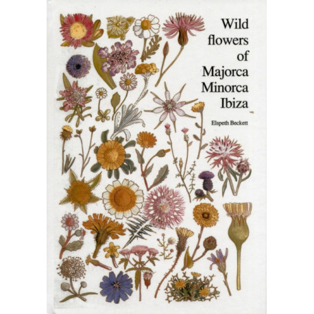 Wild flowers of Majorca Minorca and Ibiza: With keys to the flora of the Balearic Islands