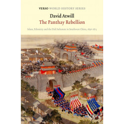 The Panthay Rebellion: Islam, Ethnicity and the Dali Sultanate in Southwest China, 1856-1873