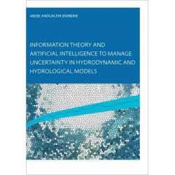 Information Theory and Artificial Intelligence to Manage Uncertainty in Hydrodynamic and Hydrological Models
