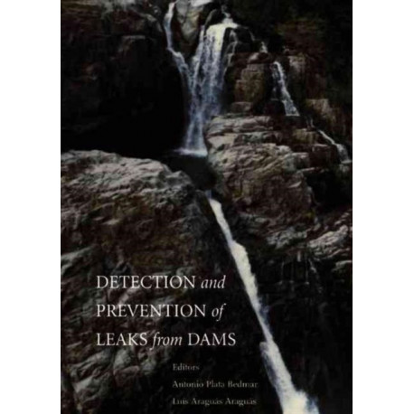 Detection and the Prevention of Leaks from Dams