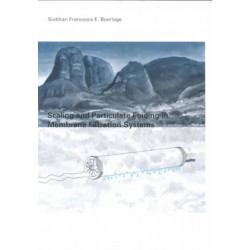Scaling and Particulate Fouling in Membrane Filtration Systems