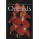 Growing South African Indigenous Orchids