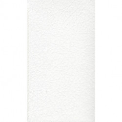 Den grønlandske salmebog: Hvid udgave af den grønlandske salmebog.