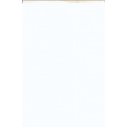 The Adventures of Vaclav the Magnificent and his lovely assistant Lena