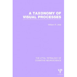A Taxonomy of Visual Processes