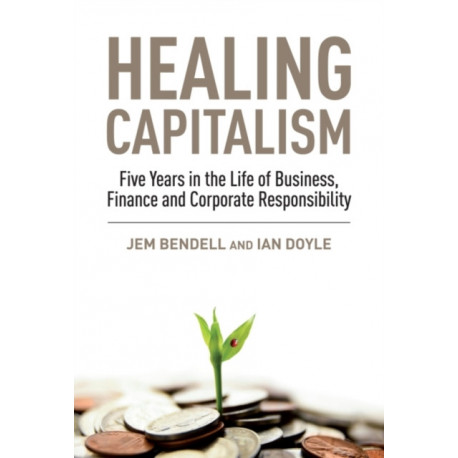 Healing Capitalism: Five Years in the Life of Business, Finance and Corporate Responsibility