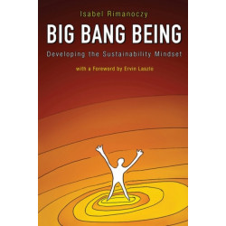 Big Bang Being: Developing the Sustainability Mindset