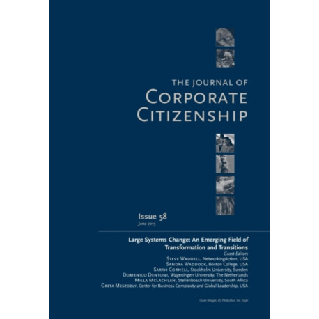 Large Systems Change: An Emerging Field of Transformation and Transitions: A Special Theme Issue of The Journal of Corporate Citizenship (Issue 58)