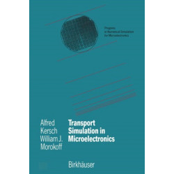 Transport Simulation in Microelectronics