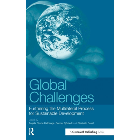 Global Challenges: Furthering the Multilateral Process for Sustainable Development