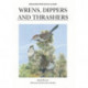 Wrens, Dippers and Thrashers