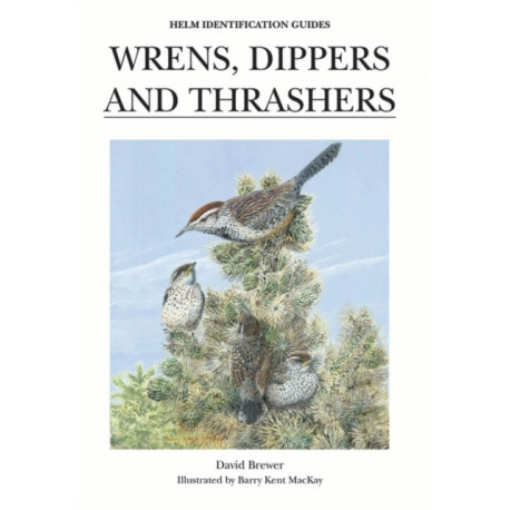 Wrens, Dippers and Thrashers