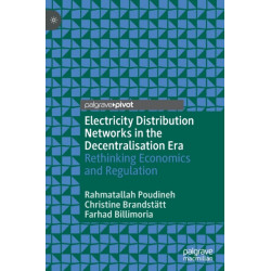 Electricity Distribution Networks in the Decentralisation Era: Rethinking Economics and Regulation