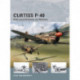 Curtiss P-40: Snub-nosed Kittyhawks and Warhawks