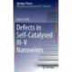 Defects in Self-Catalysed III-V Nanowires