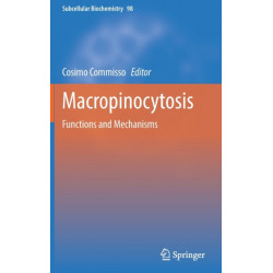Macropinocytosis: Functions and Mechanisms