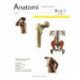 Anatomi - Bog 2: Arbejdsbog 2 - bevægeapparatets anatomi
