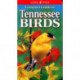 Compact Guide to Tennessee Birds