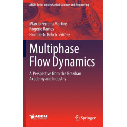 Multiphase Flow Dynamics: A Perspective from the Brazilian Academy and Industry