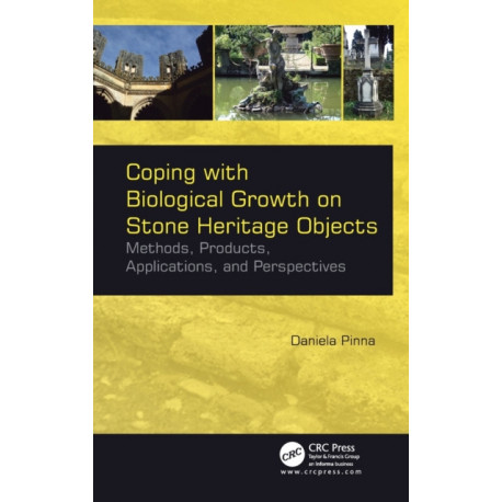 Coping with Biological Growth on Stone Heritage Objects: Methods, Products, Applications, and Perspectives