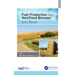 Fuel Production from Non-Food Biomass: Corn Stover