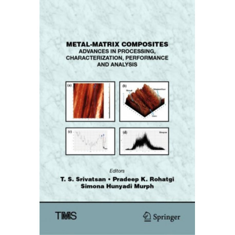 Metal-Matrix Composites: Advances in Processing, Characterization, Performance and Analysis