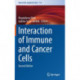 Interaction of Immune and Cancer Cells